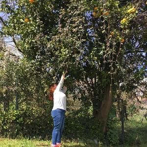 Meet your Posher, Carol-lee